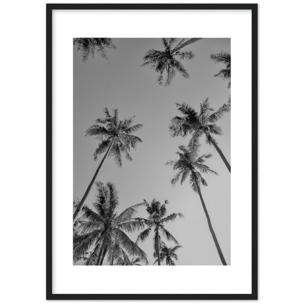PALMAS GREY I