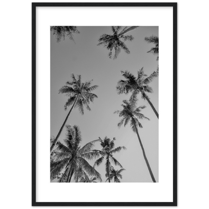 PALMAS GREY I