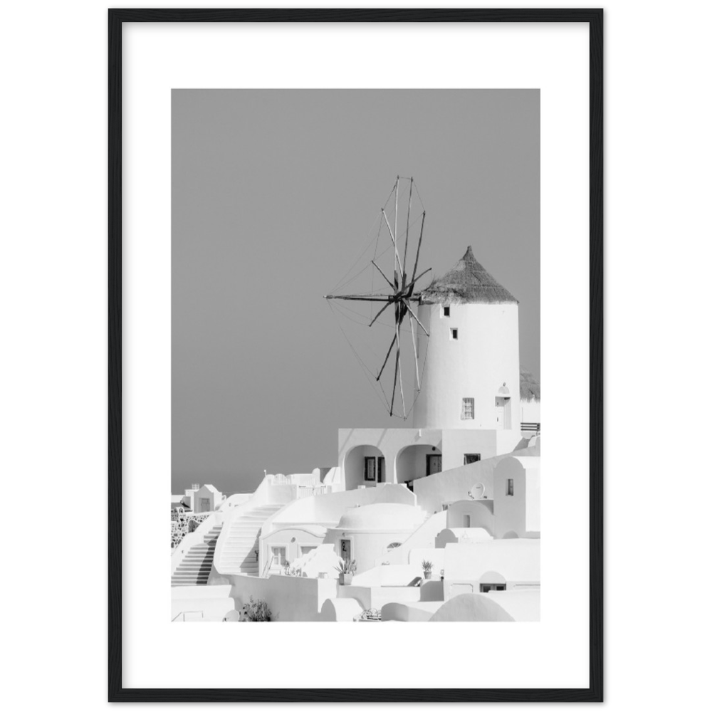 MOLINO BLANCO