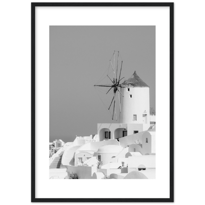 MOLINO BLANCO