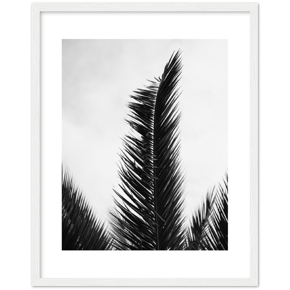 TRIPALM