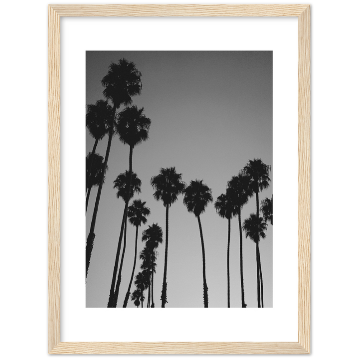 LARGE PALM
