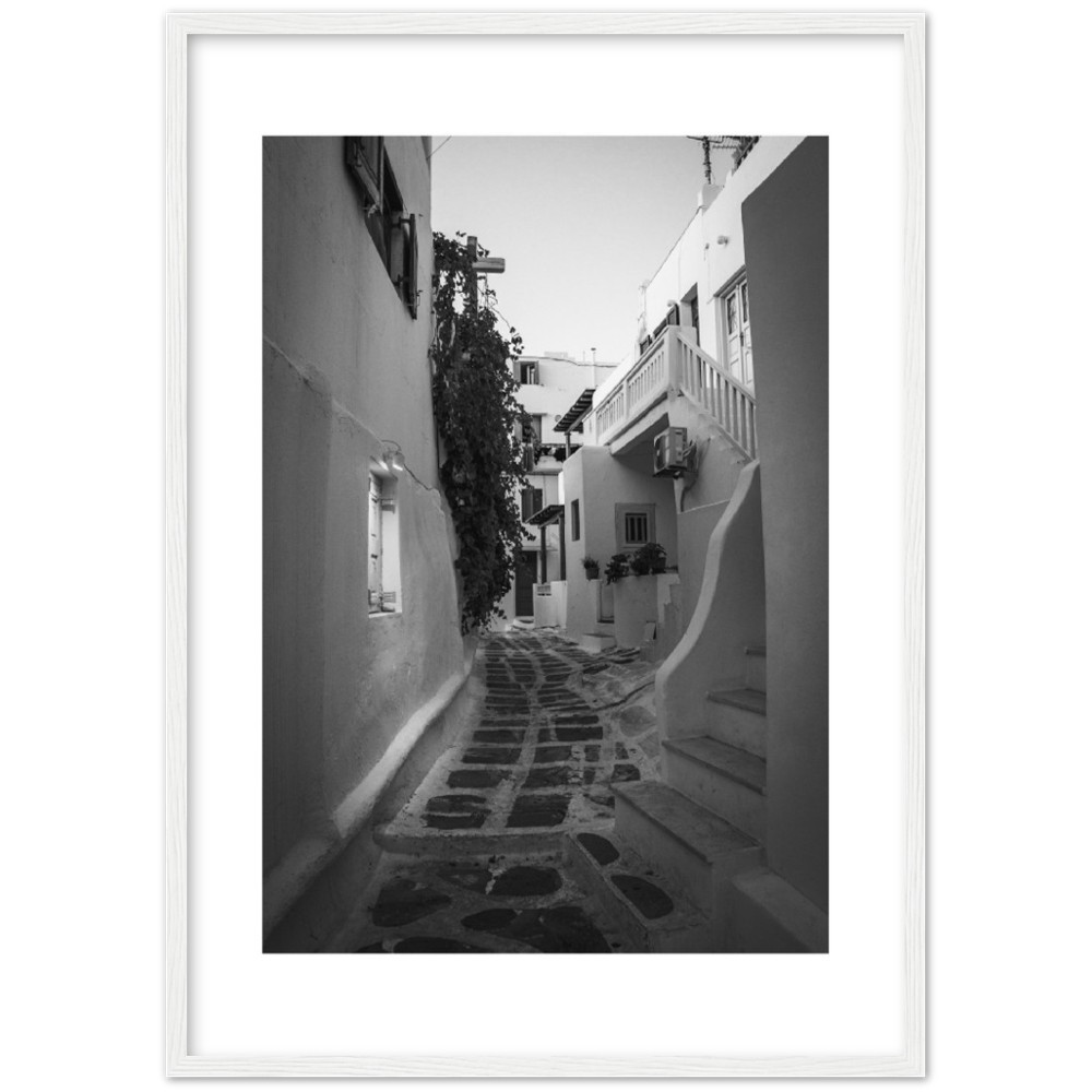 CALLE BLANCA