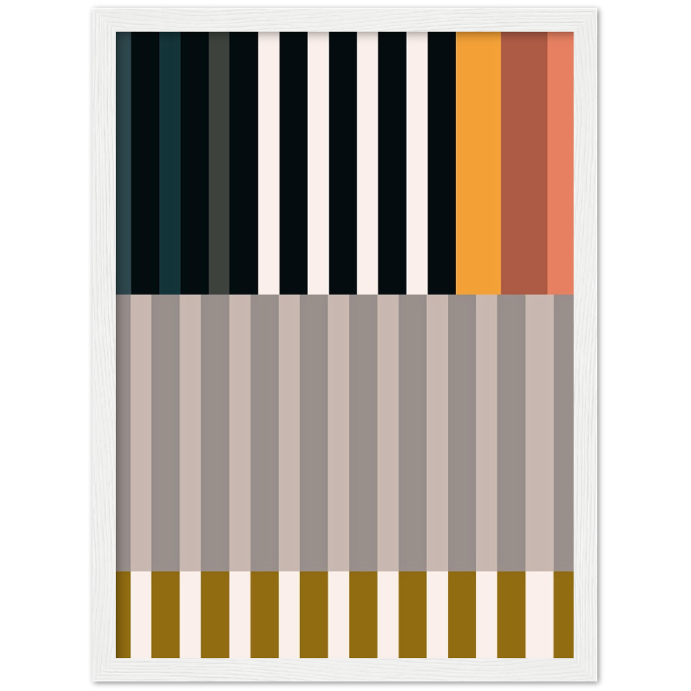 RAYVISION II