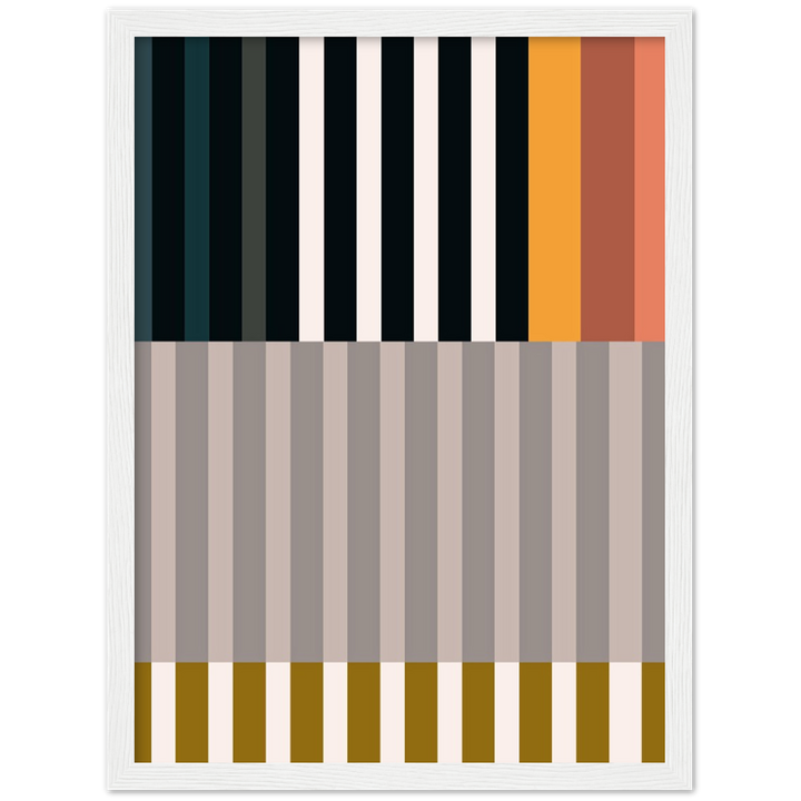 RAYVISION II