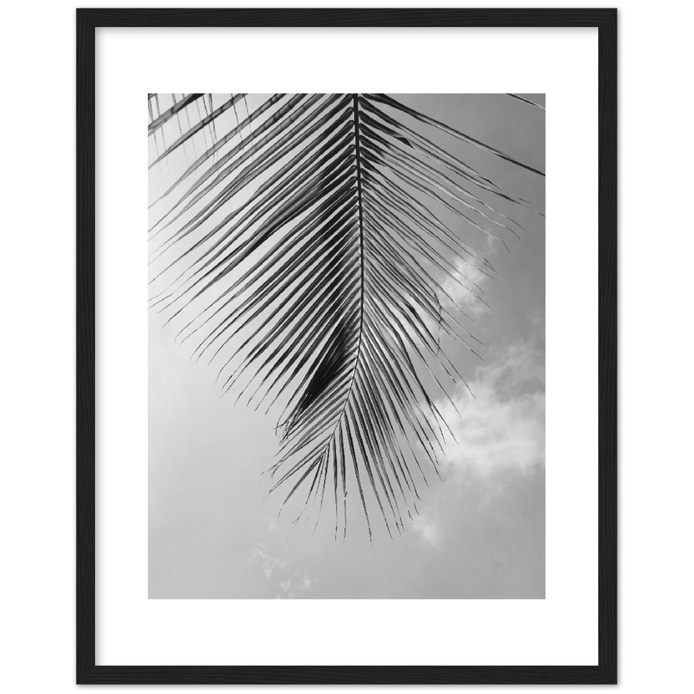 PALM CLOUD