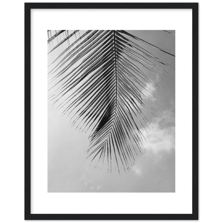 PALM CLOUD