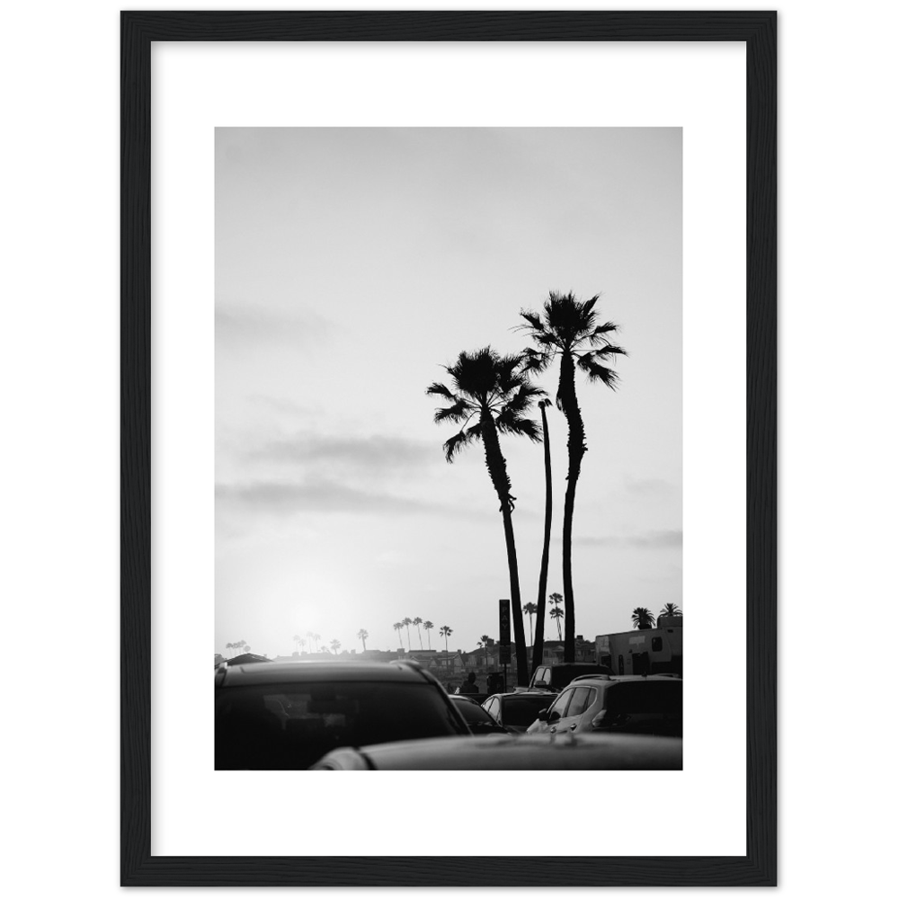 PALM STREET