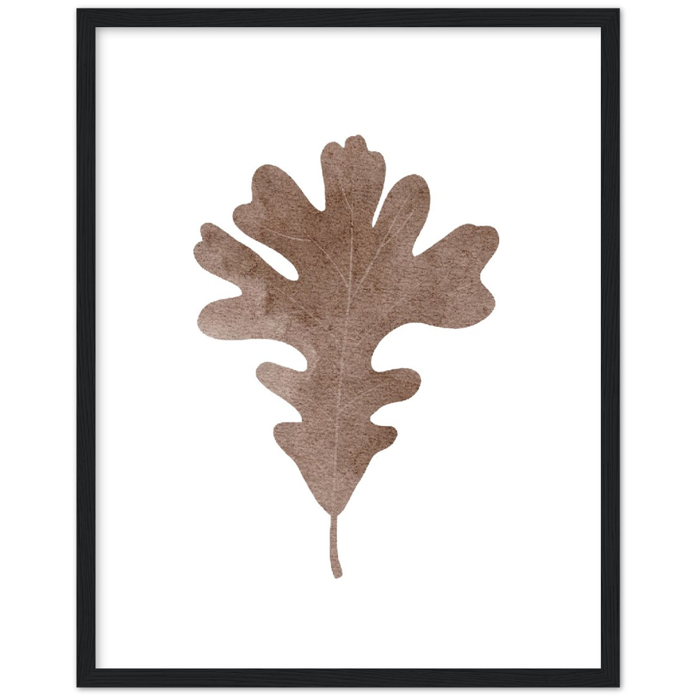 HOJA ROBLE