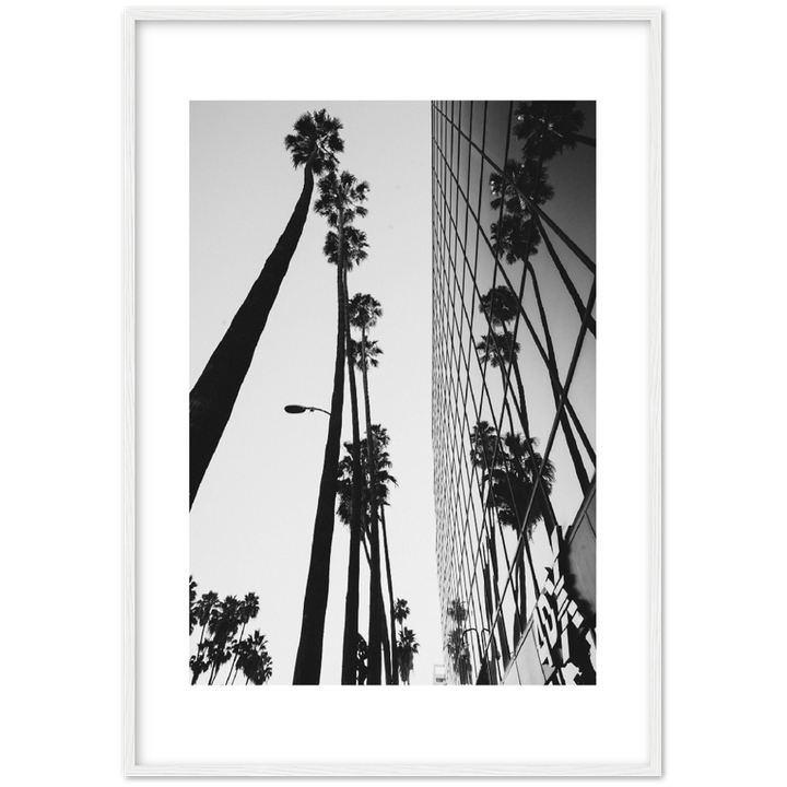 PALM TOWER