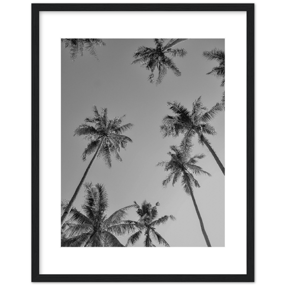 PALMAS GREY I