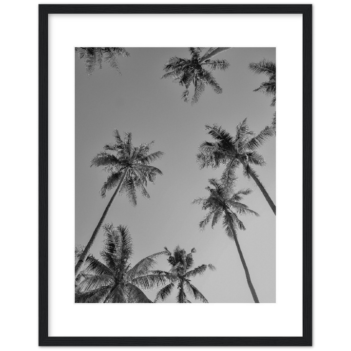 PALMAS GREY I