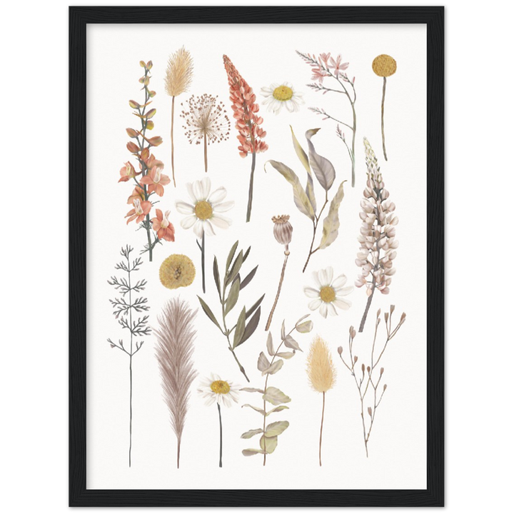 BOTANIC COMPO