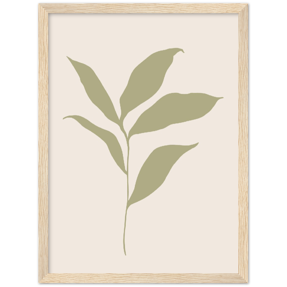 FLOR MUSA IV