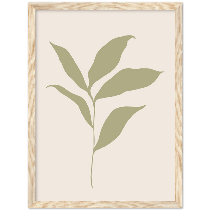 FLOR MUSA IV