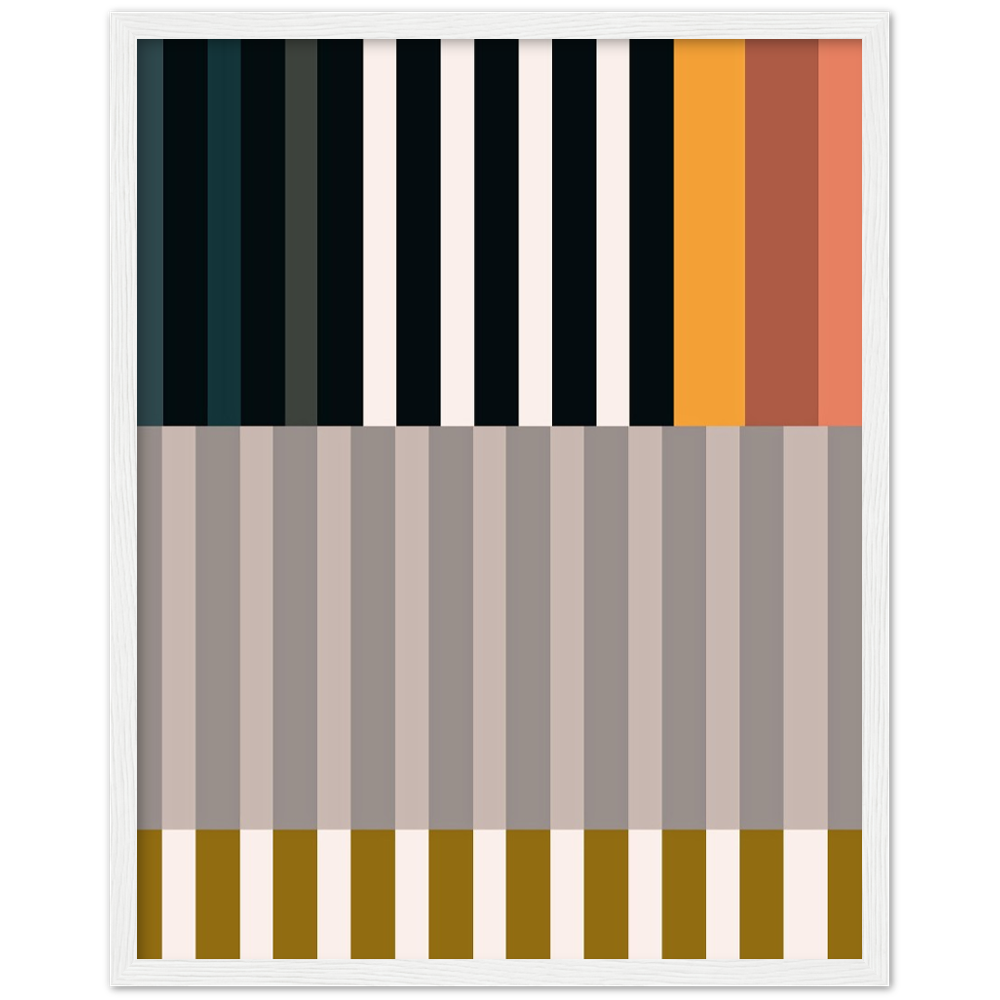 RAYVISION II