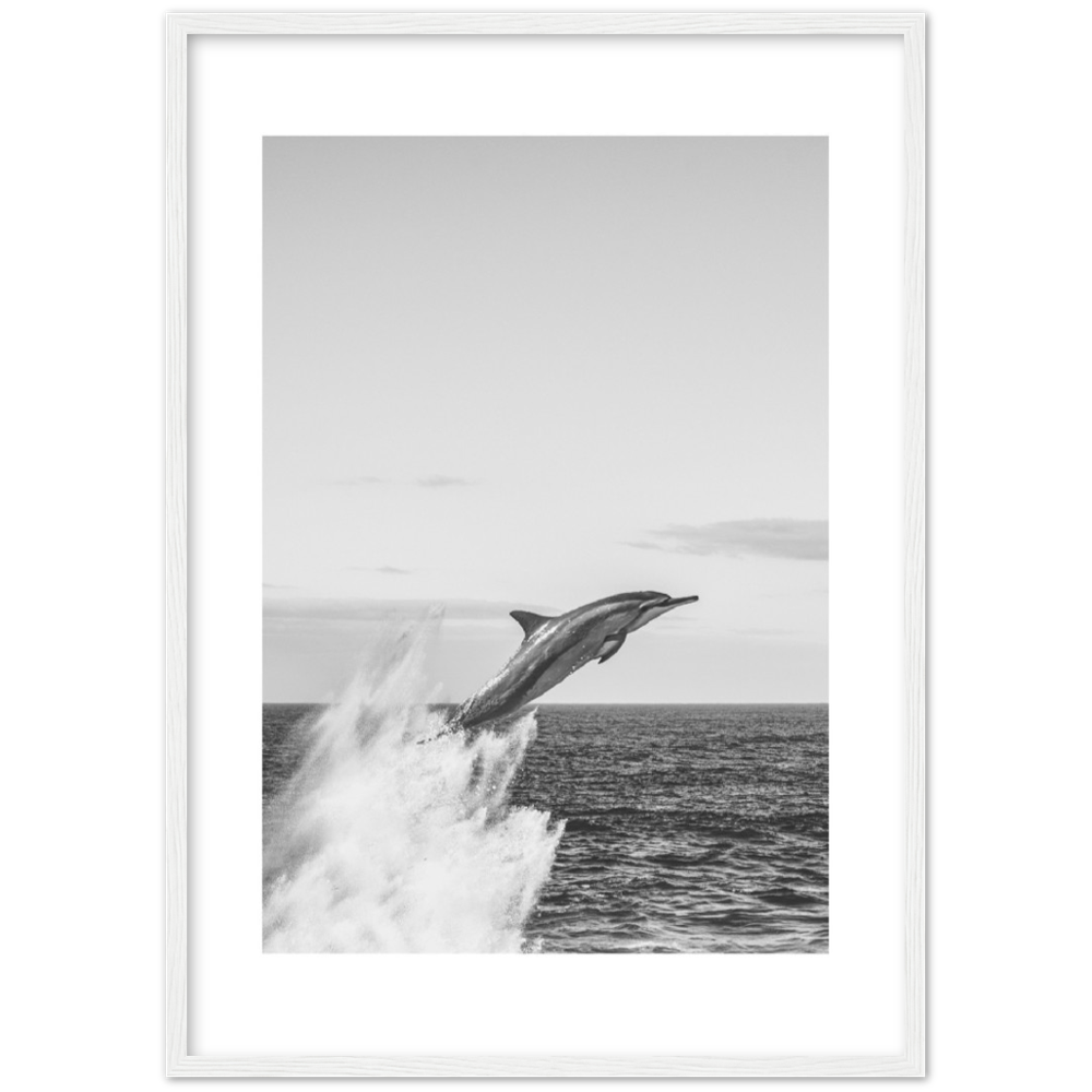 DELFIN