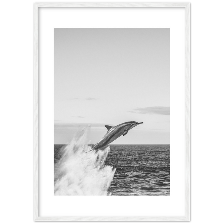 DELFIN