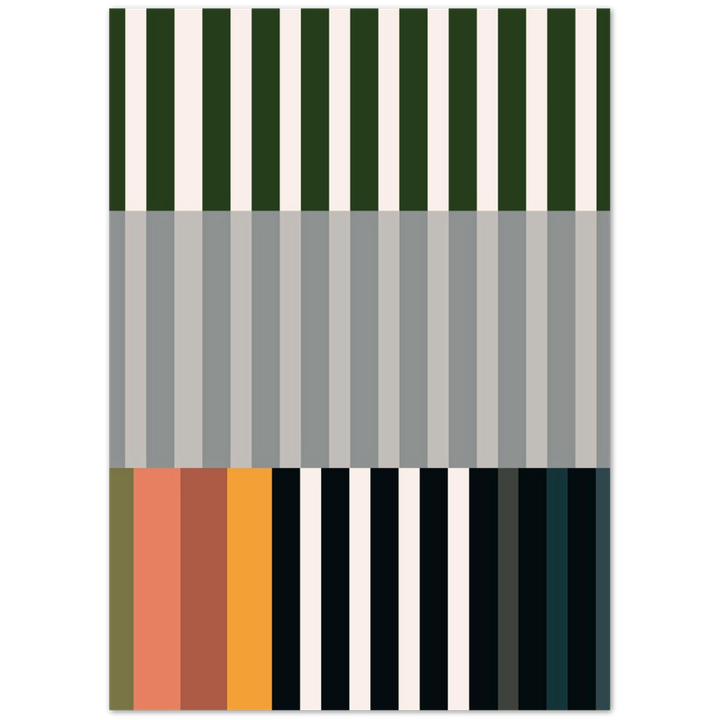 RAYVISION IV