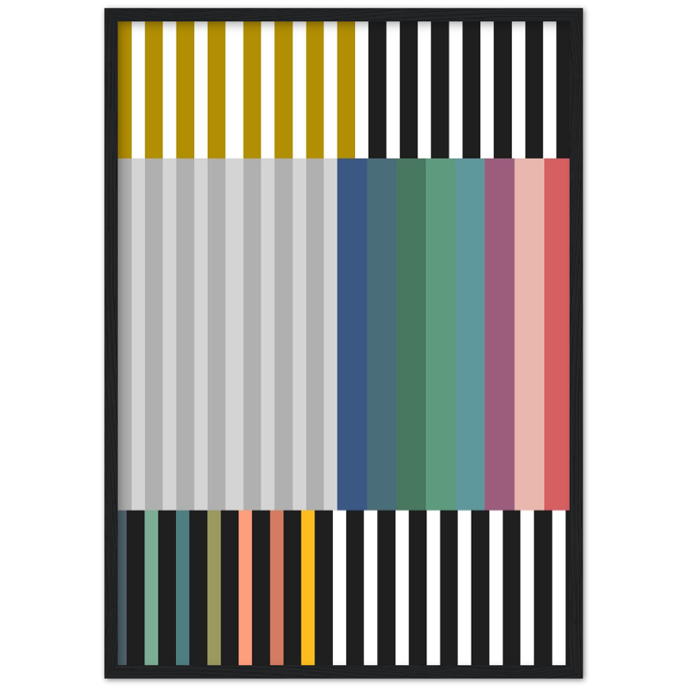 RAYVISION III
