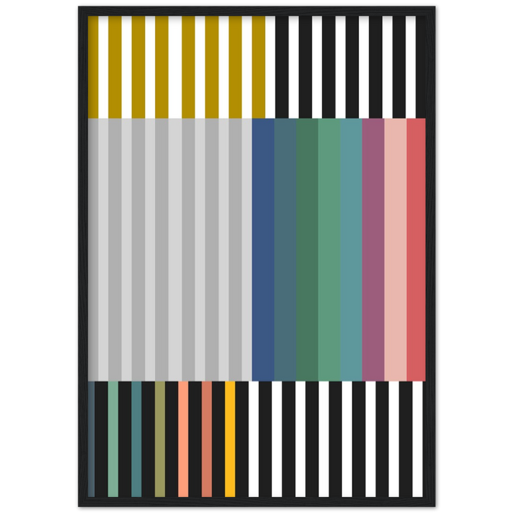 RAYVISION III