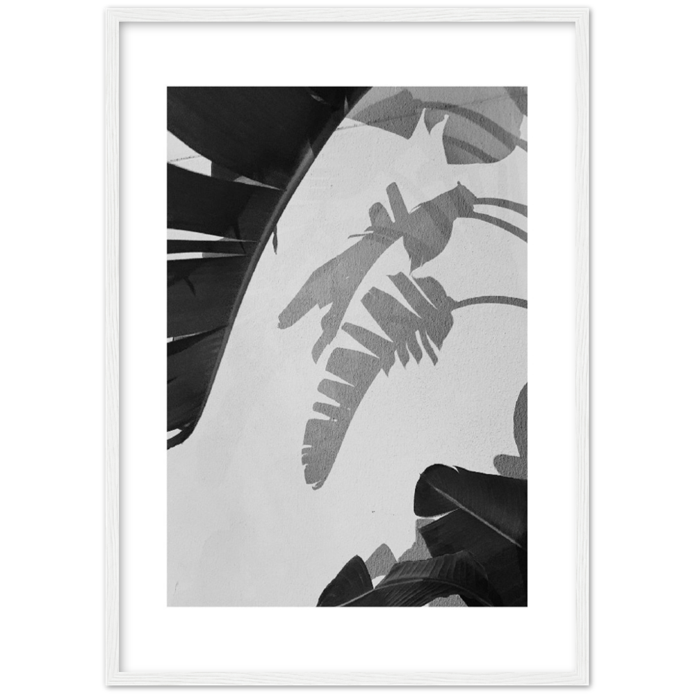 PALM SOMBRA