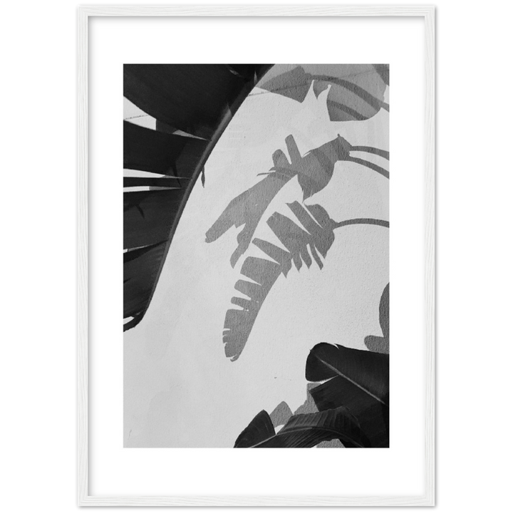 PALM SOMBRA