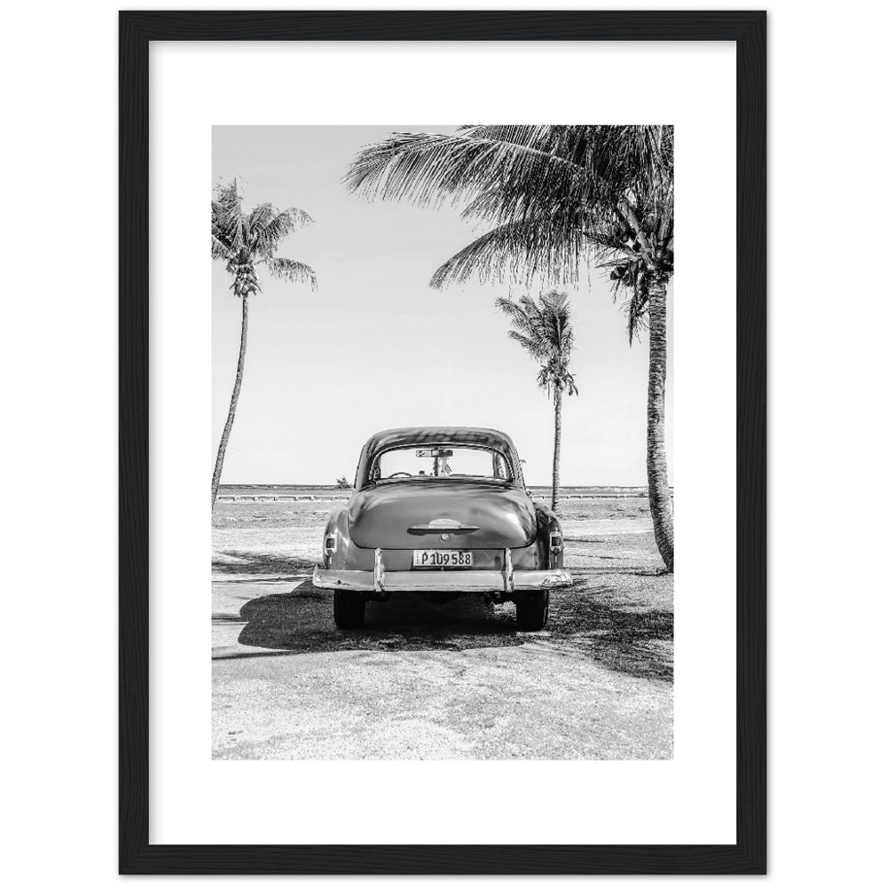CARRO BEACH
