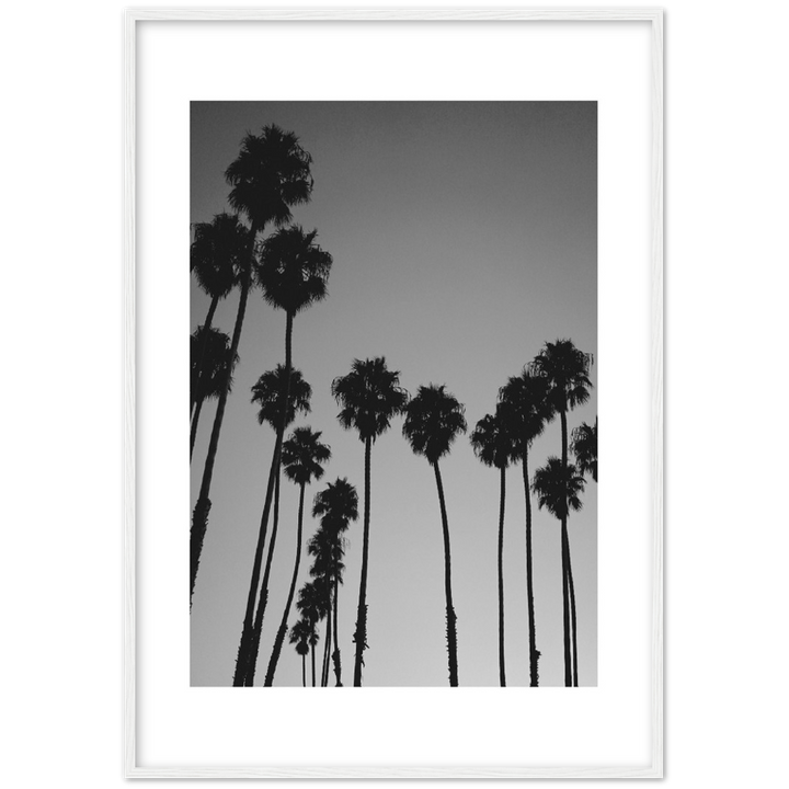 LARGE PALM