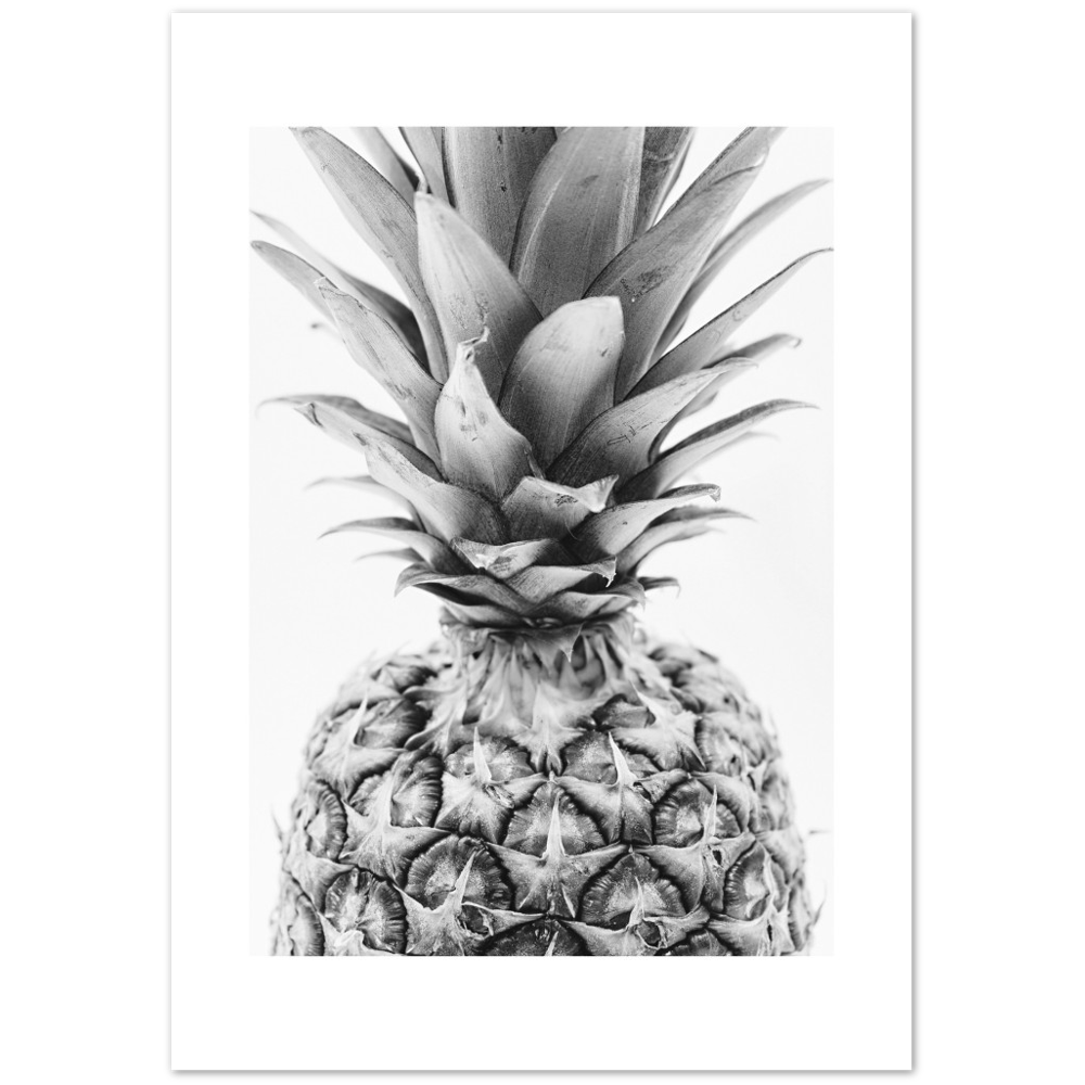 PIÑA DETALLE