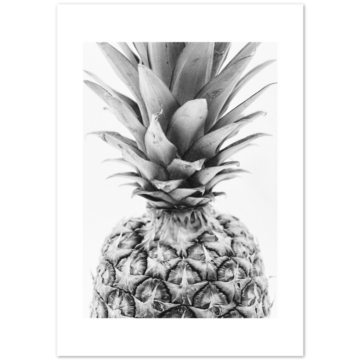PIÑA DETALLE