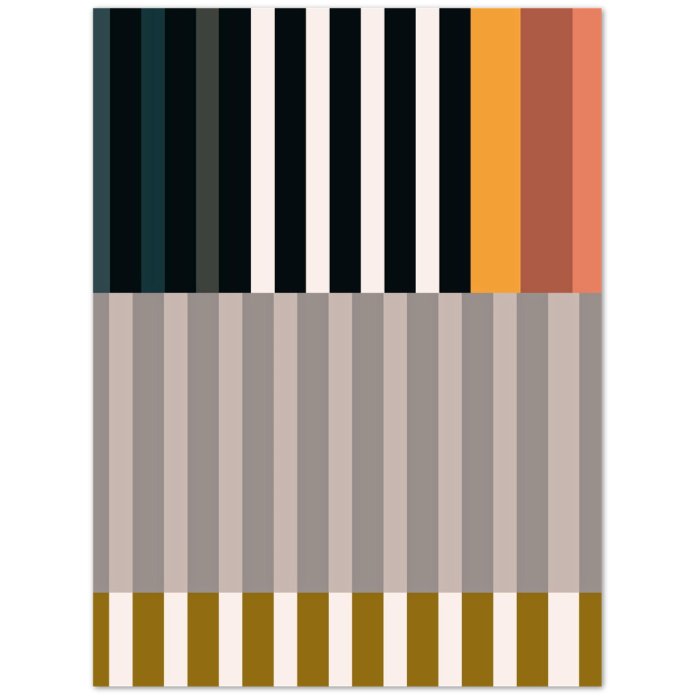 RAYVISION II