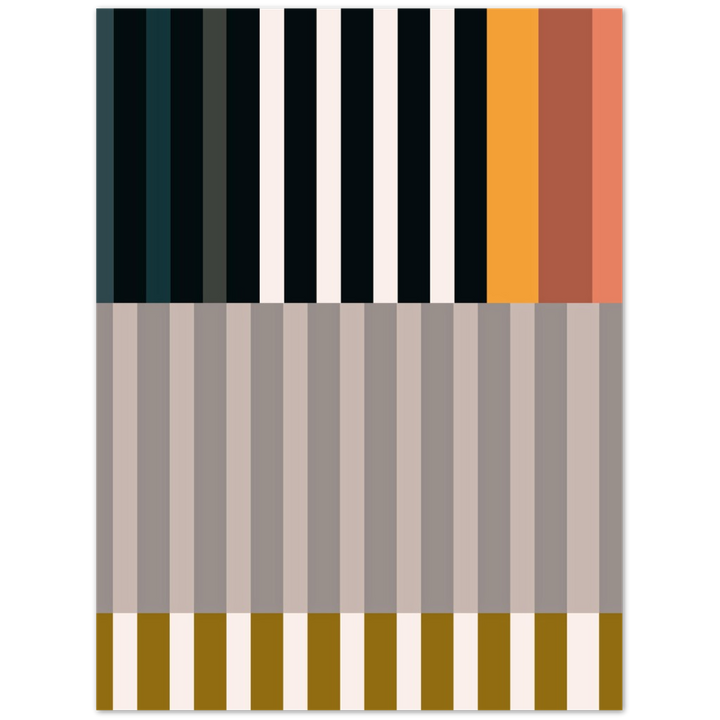 RAYVISION II
