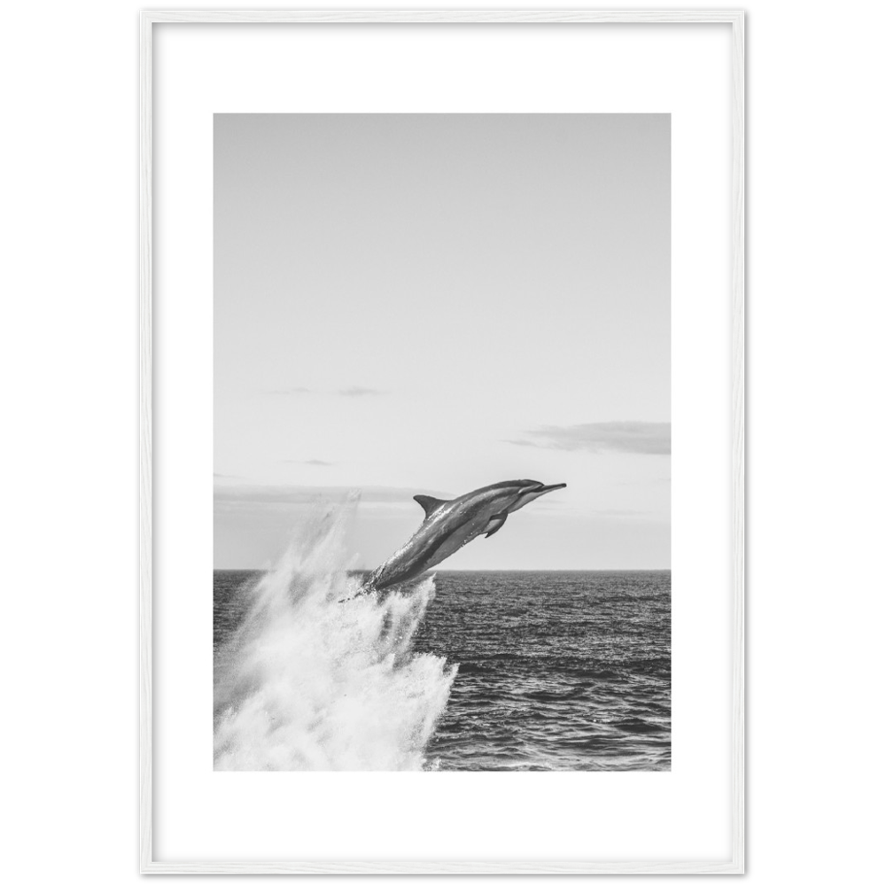 DELFIN