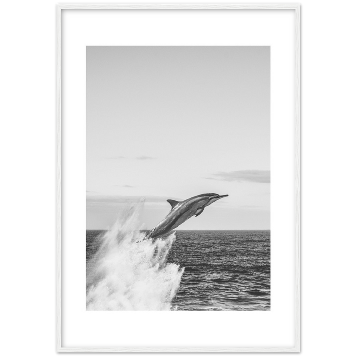 DELFIN