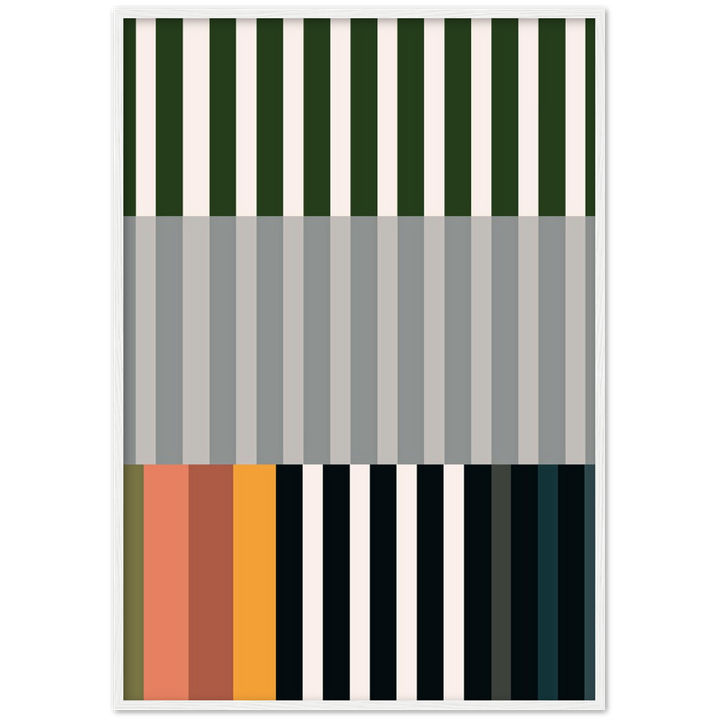 RAYVISION IV