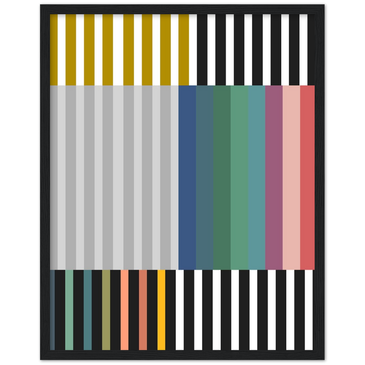 RAYVISION III