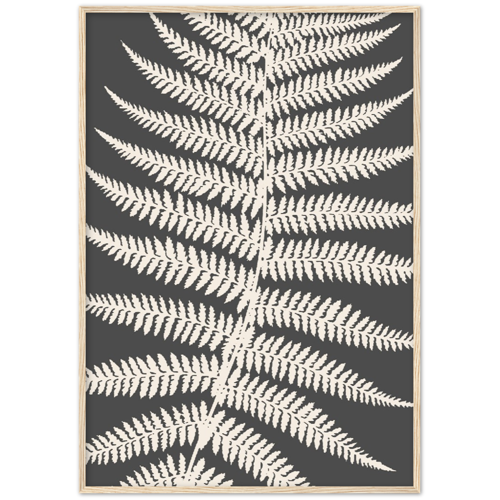GREY FERNAT III