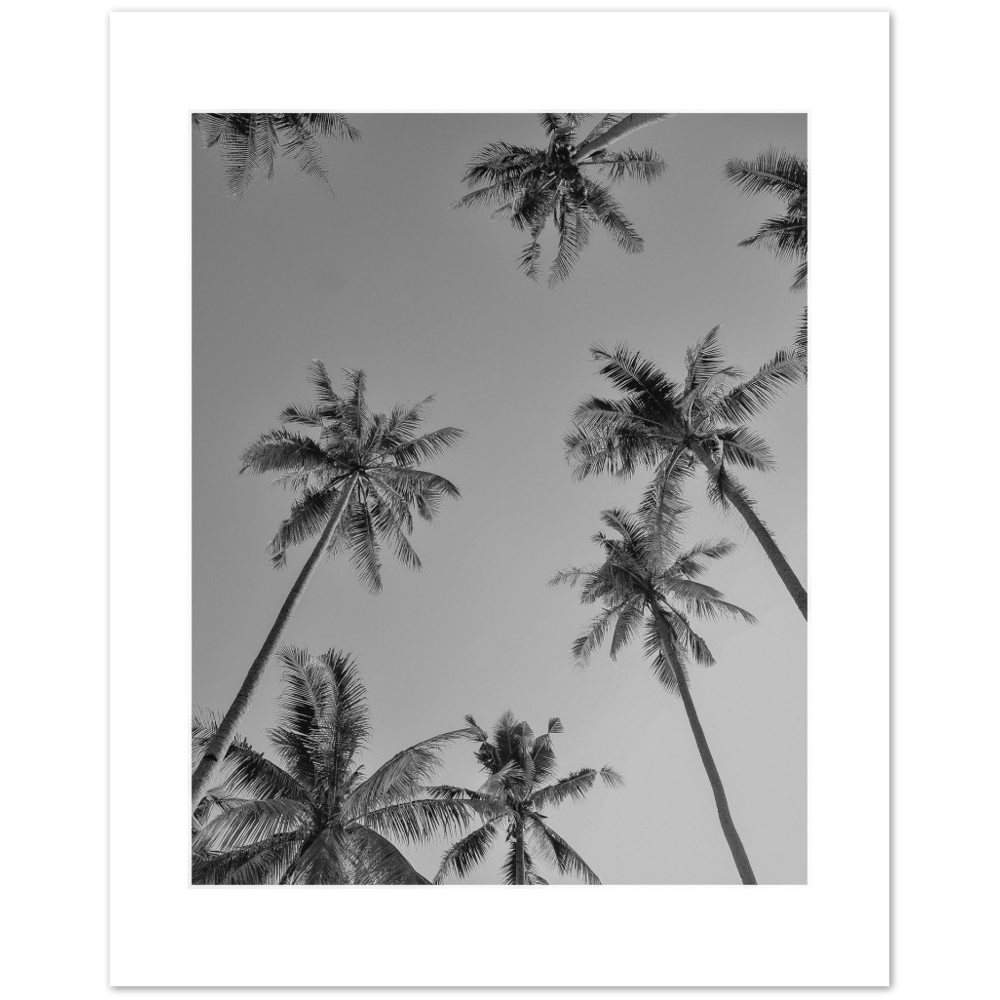 PALMAS GREY I
