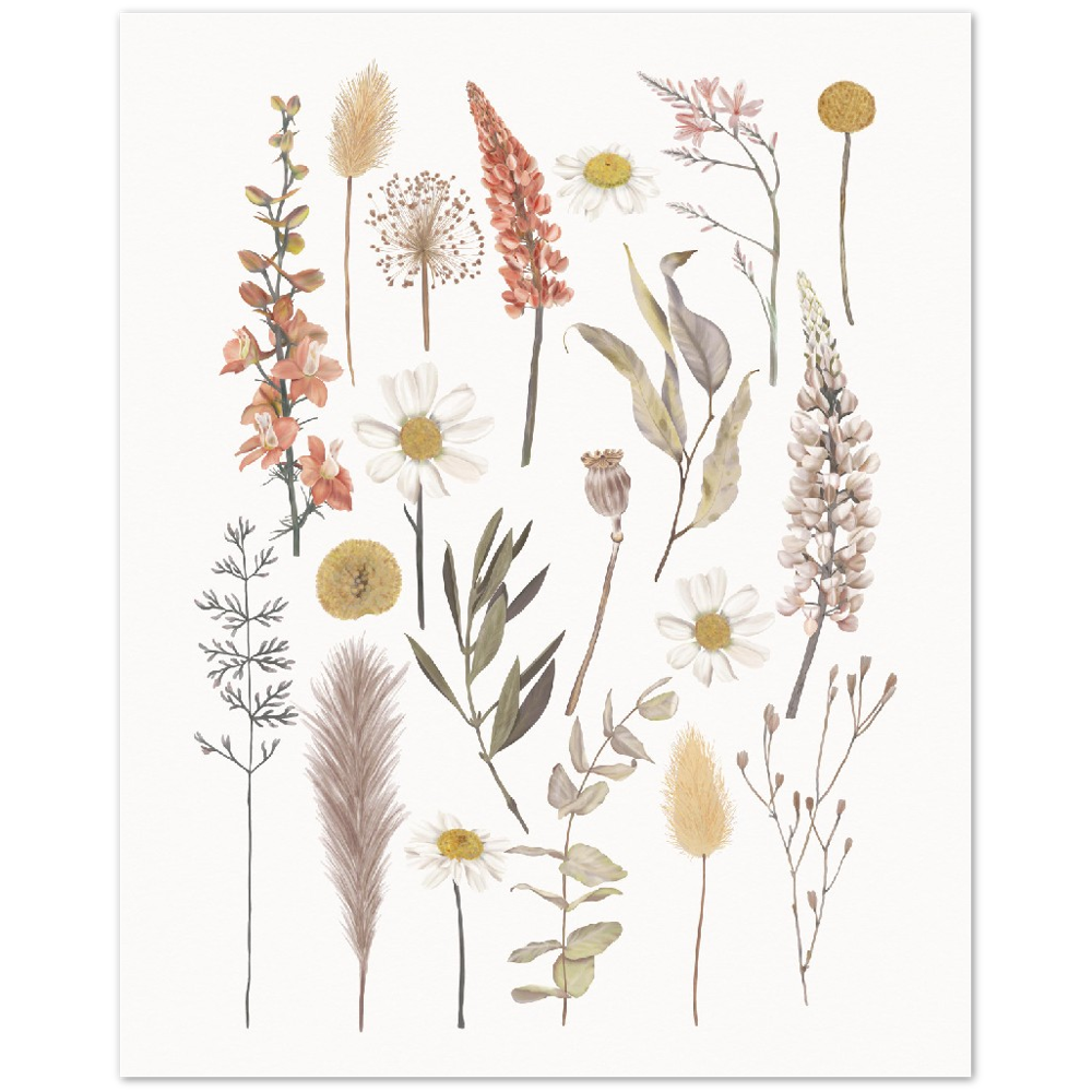 BOTANIC COMPO
