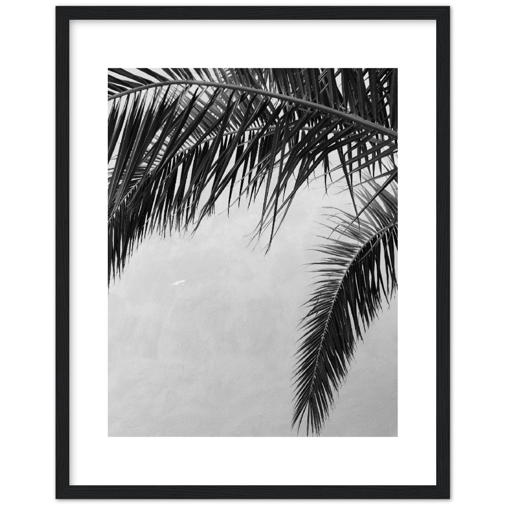 PALMAS II