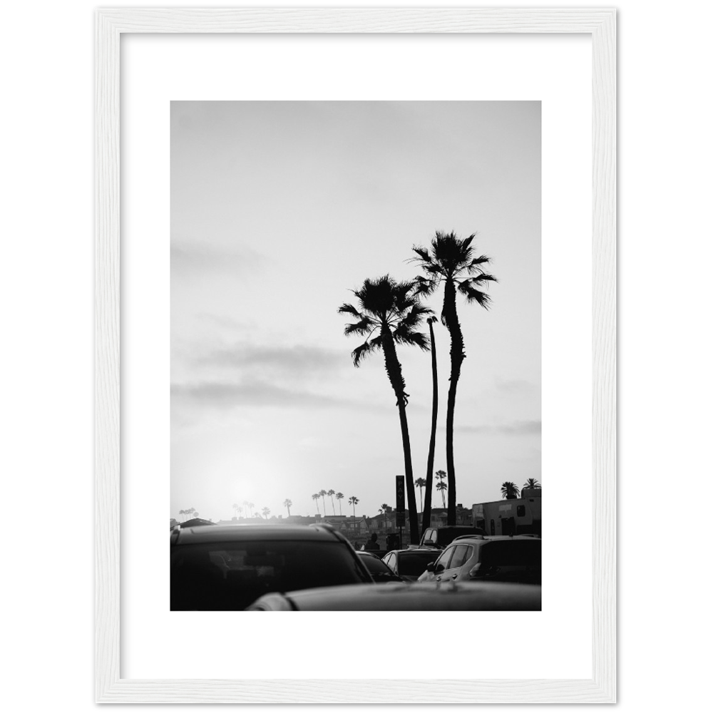 PALM STREET