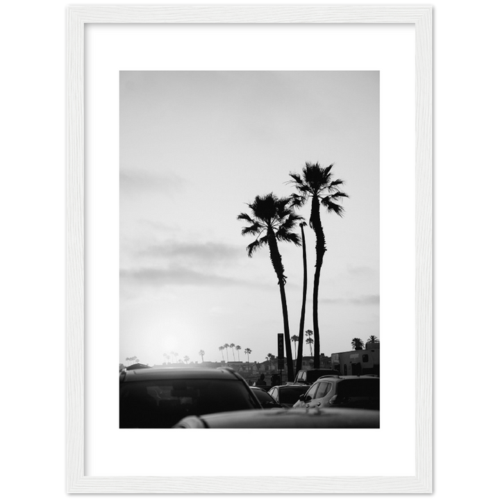 PALM STREET