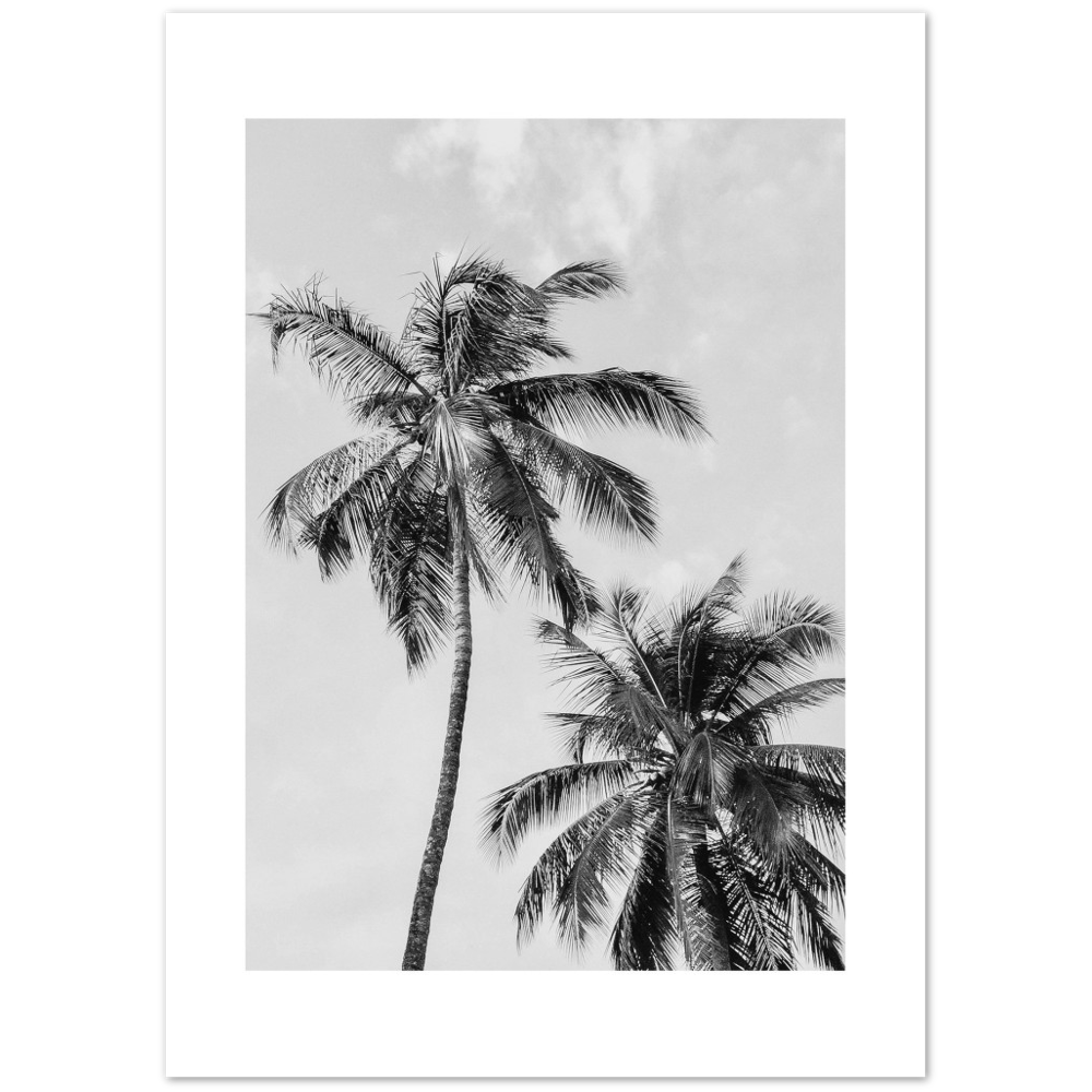 PALMERAS I
