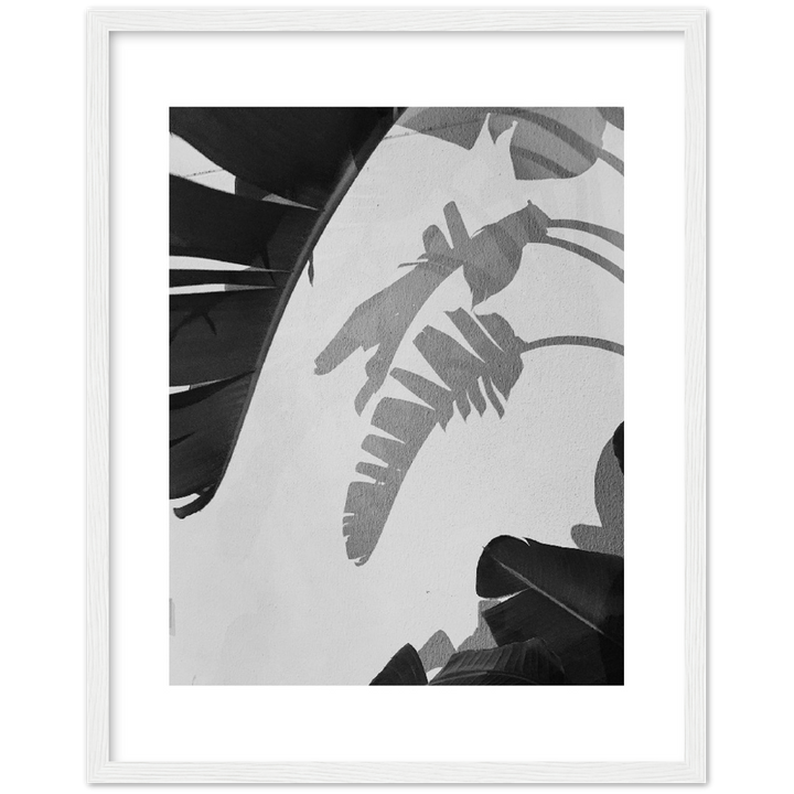 PALM SOMBRA