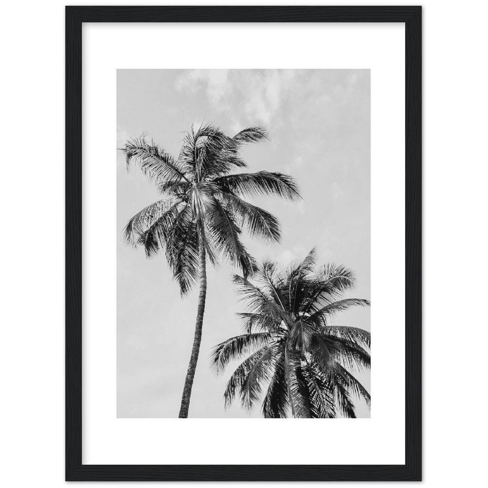 PALMERAS I
