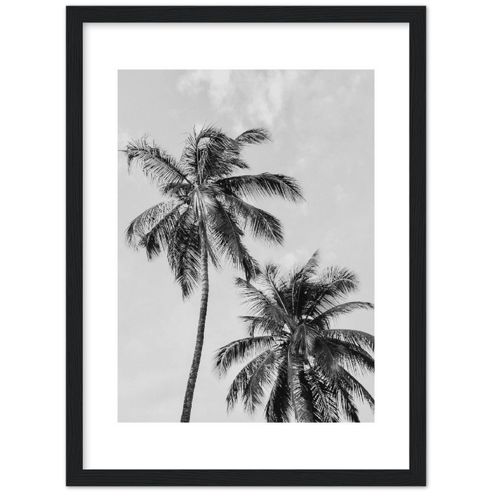 PALMERAS I