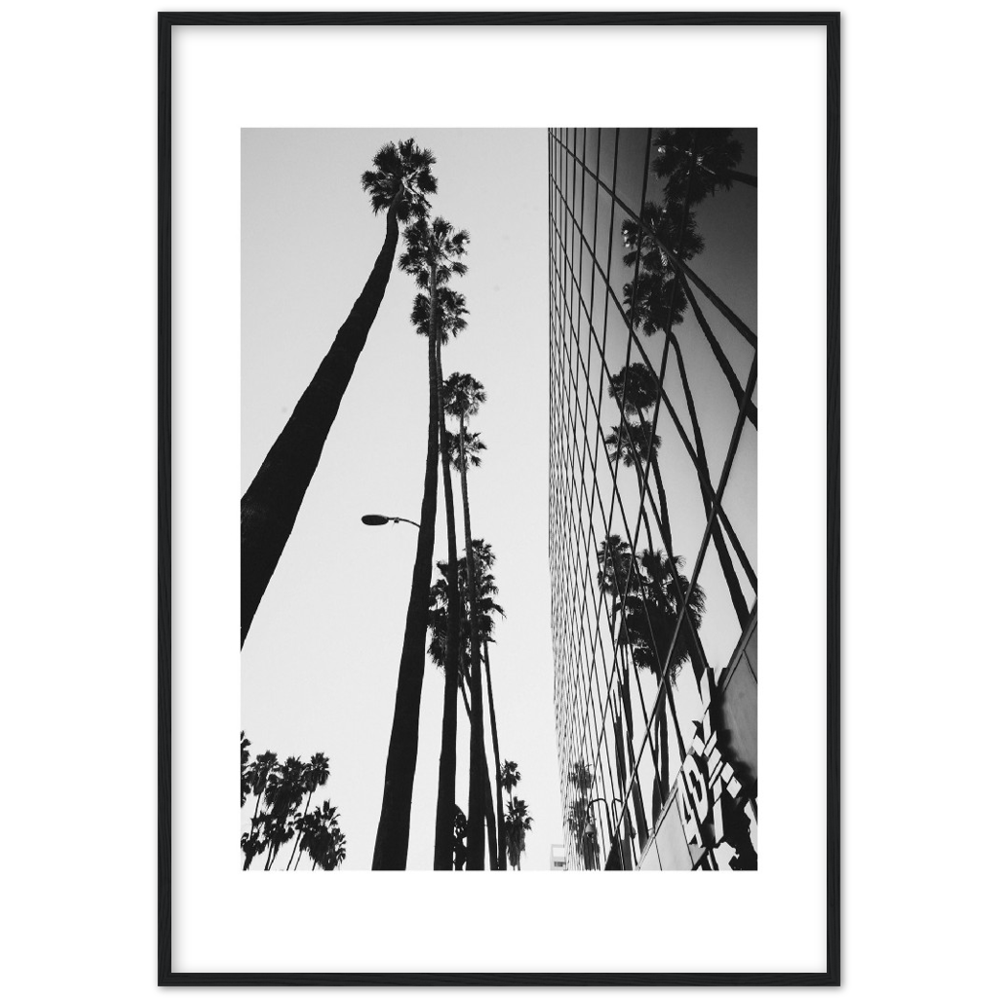 PALM TOWER
