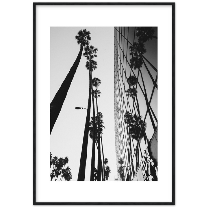 PALM TOWER