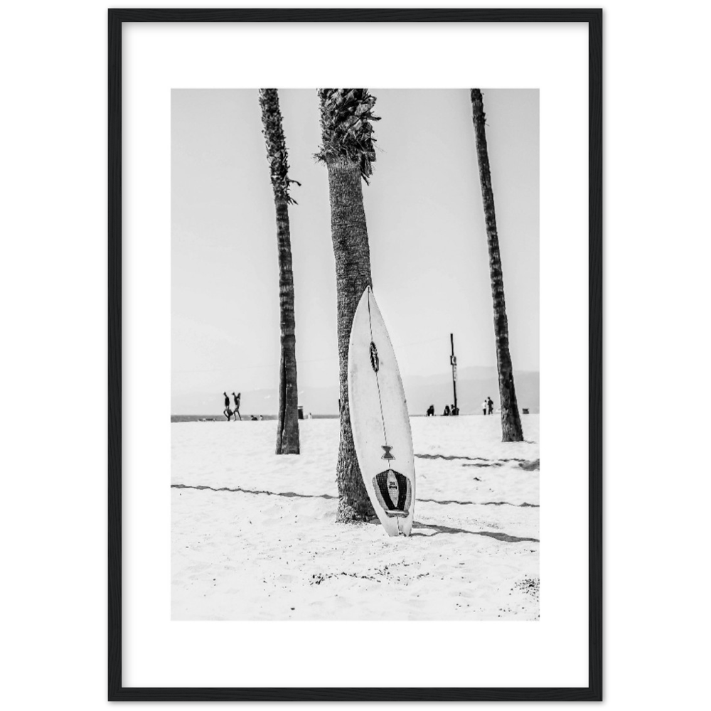 PALM SURF